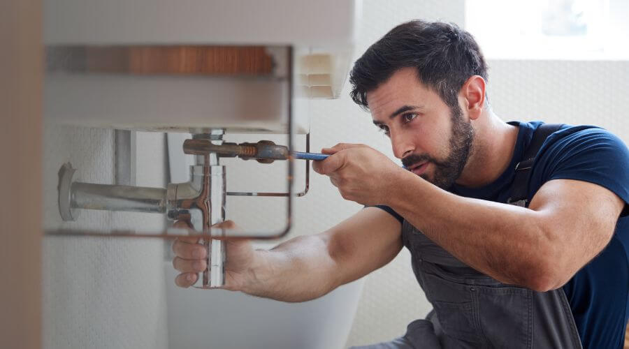 Trap Repair/Replacement in Belleville, MI